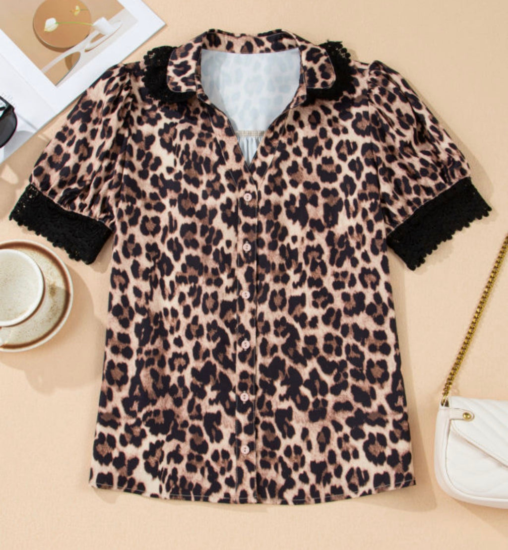Wildly Chic Button-Up