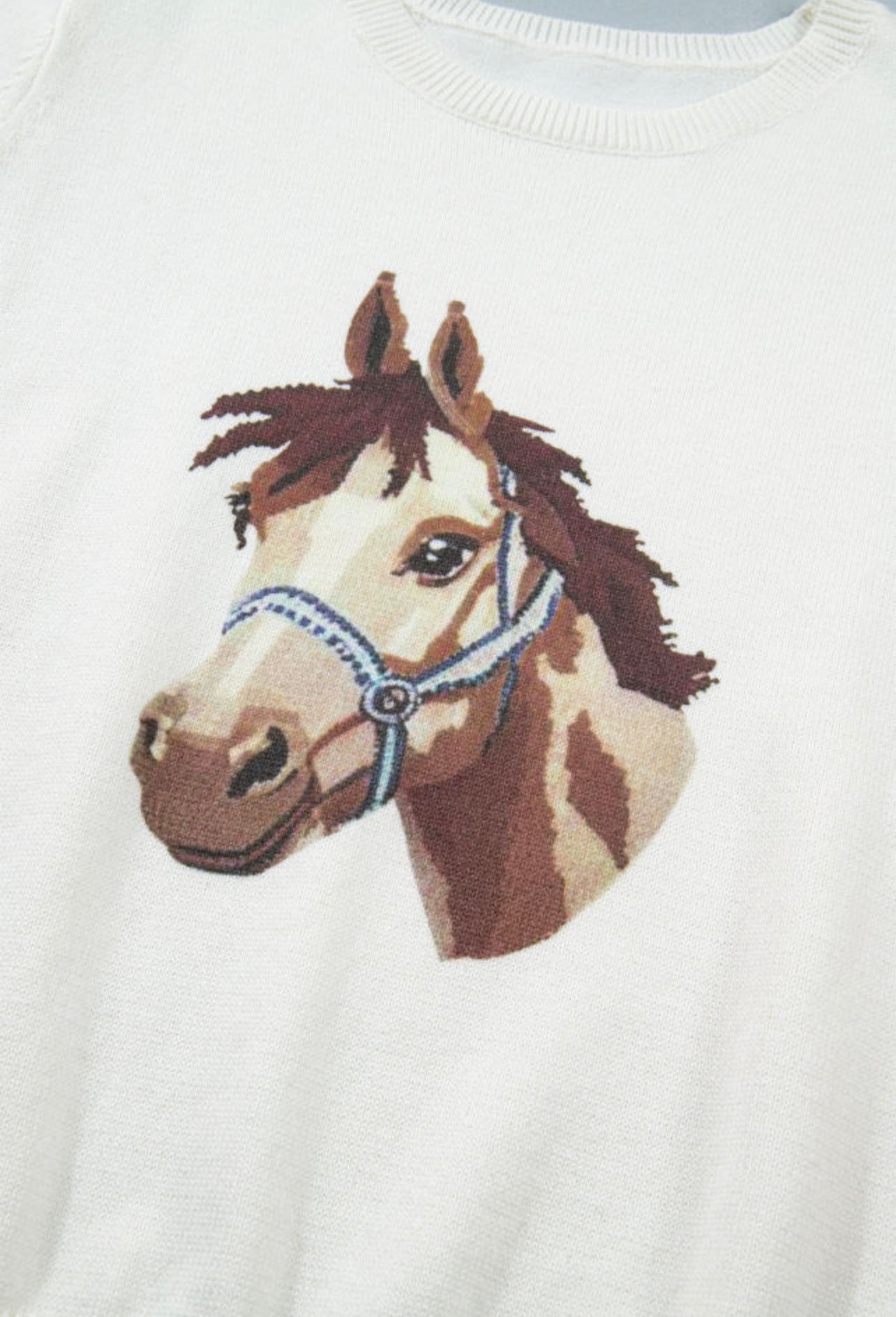 Wild West Horse Graphic Sweater